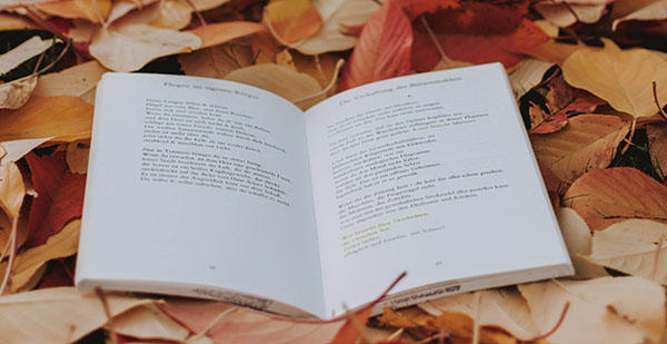 A poetry book is sitting on a bed of leaves
