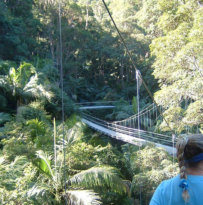 A shot of the bridge that leads into the camp in I'm a Celebrity get me out of here.