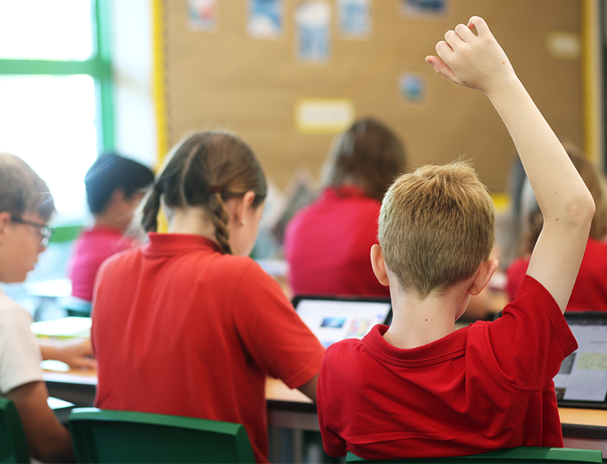 Primary school child with his hand up in class
