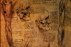 Leonardo da Vinci anatomy drawing on yellow parchment paper with handwriting between the hand drawn images