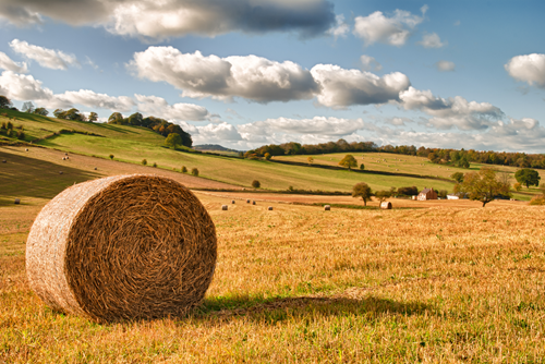 Bale of hay in the foreground in a field under a blue sky with white clouds.