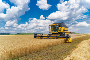 Combine harvester working in a field under blue sky with white clouds.