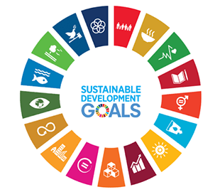 Sustainable development goals logo - colourful circle made up of segments with an icon representing the different goals inside