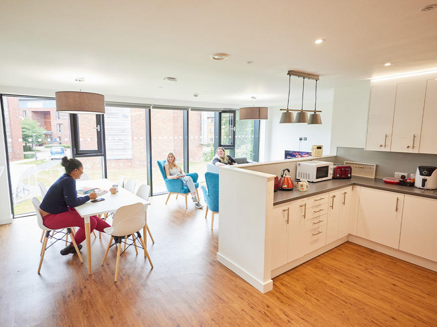 Three students in their student accommodation living room dining room and kitchen