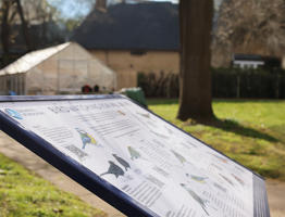 Bird watching sign in the garden