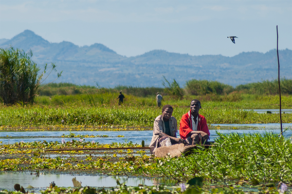 Wetlands image