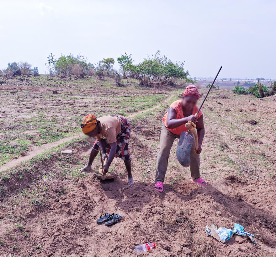 women working the fields