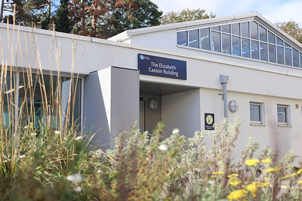 Outside of building with plants in foreground