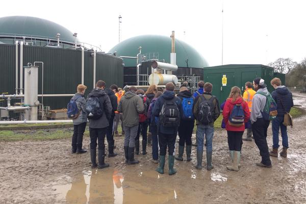group of students seen from the back in a muddy outdoor space
