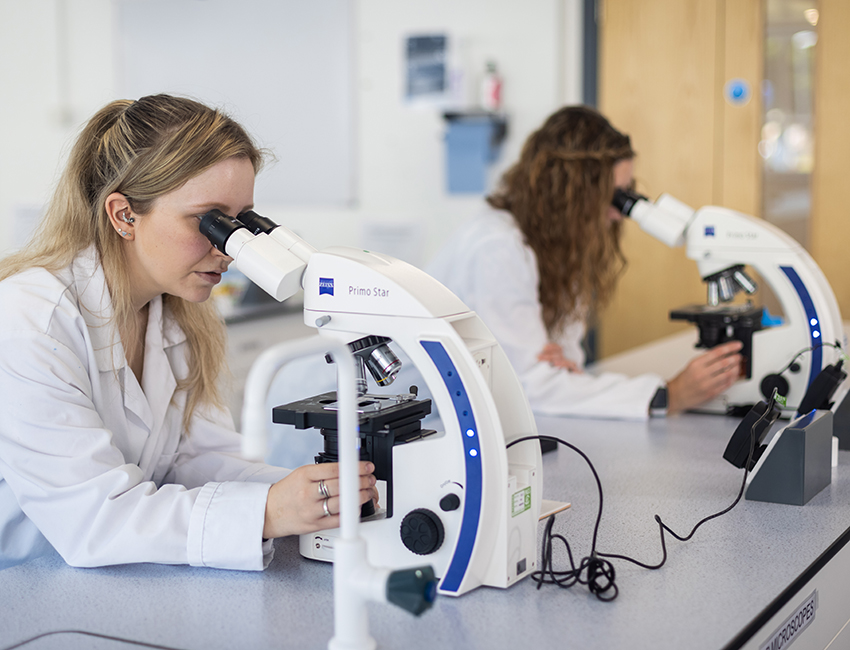 Two students working in a lab