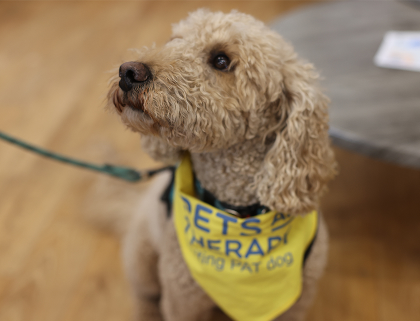 Students walking outside our St John's Campus main reception
