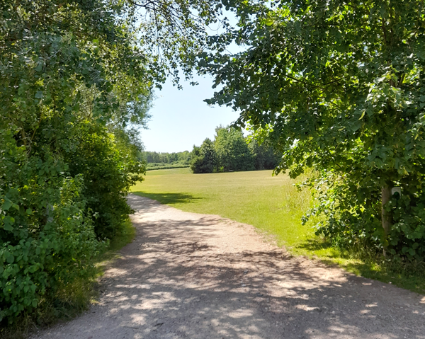 A photo of a path disappearing into a field through some trees on a sunny day