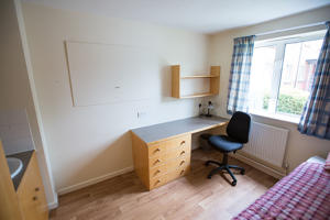 View of standard plus bedroom with desk, bed and sink in shot