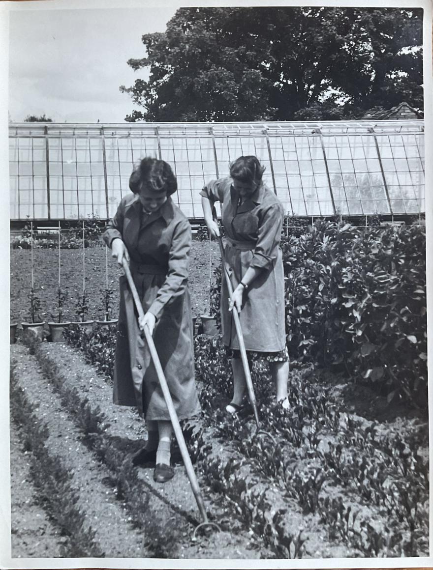 Students working in the gardens c.late 1940s