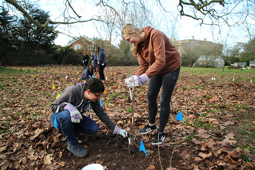 Bulb planting on campus 2023 3