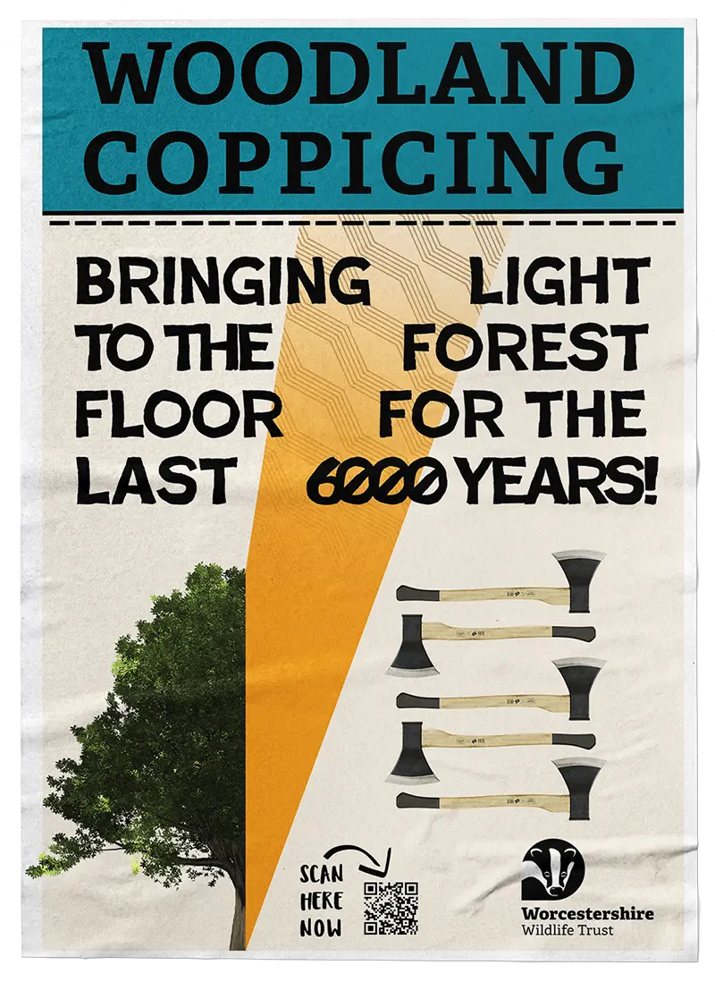 Graphic Design WWT project - Poster mockup - credit Torsten Carlisle