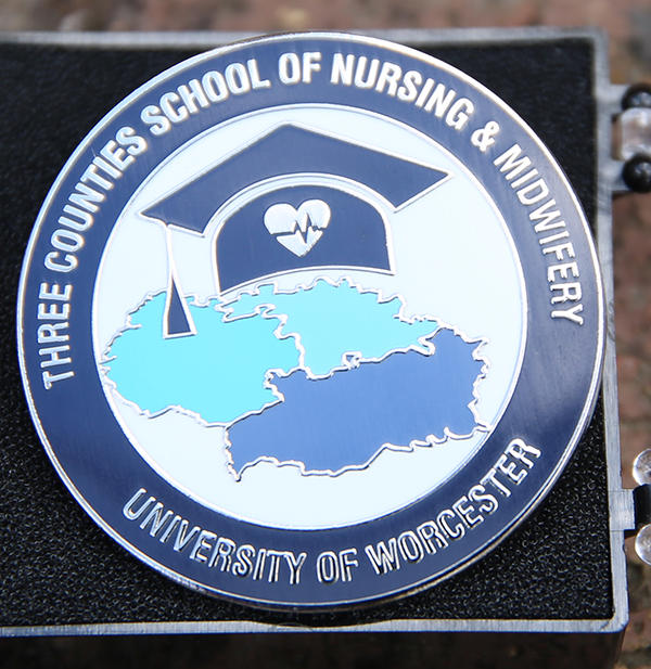 Nursing pin badge