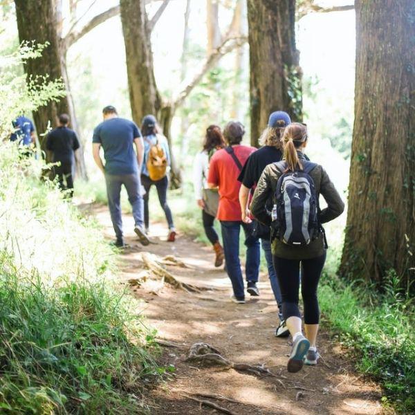 people walking through woodland