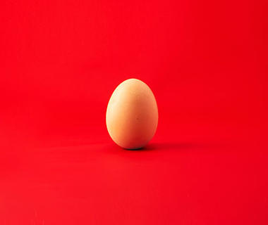 A chicken's egg is standing up against a red background