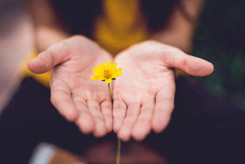 An image of a light within someone's hands