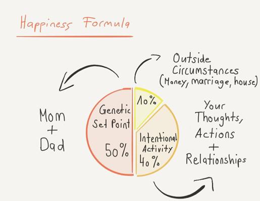 a pie chart showing the circumstances that one needs to be happy including outside circumstances, intentional activity and genetics