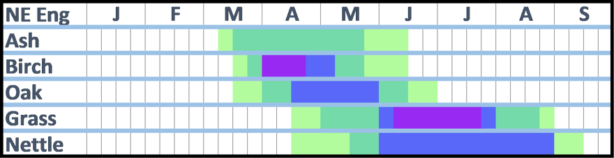 A Pollen Calendar for Northeast England. The information contained in this diagram is written in the text that accompanies it.