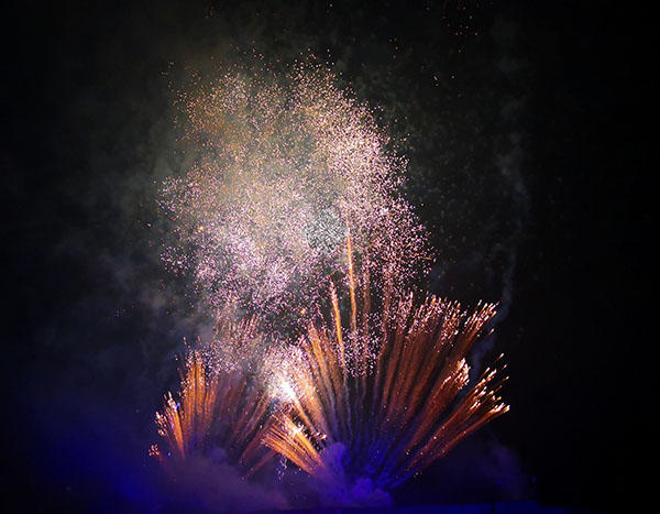 A firework is exploding in green and purple