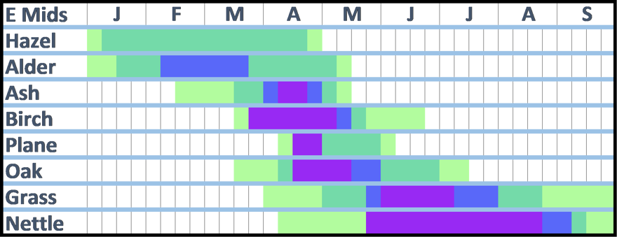 A pollen calendar for the East Midlands. The information in this diagram is written in the text that accompanies it.