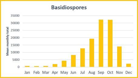 fungal spores basidiospheres graph