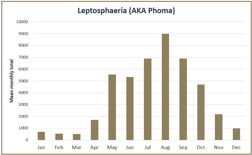 fungal-spores-leptosphaeria-graph