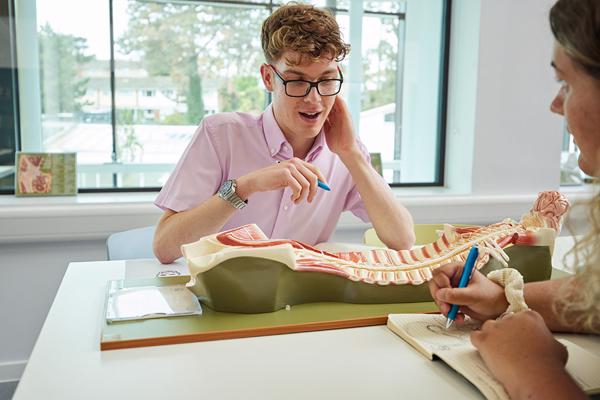 Students studying in the University of Worcester Medical School