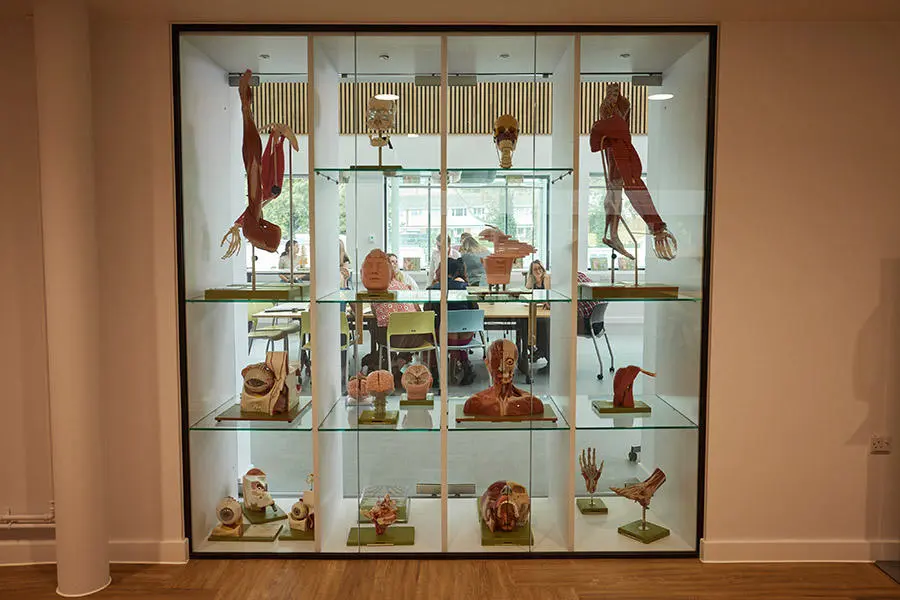 Students studying in the University of Worcester Medical School