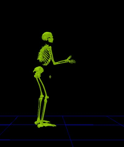 A Motion Performance Capture of a human skeleton