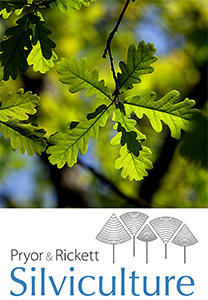 Oak leaf and Pryor & Rickett Silviculture logo