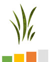 Pollen forecast for grass with a high orange pollen count.