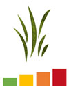 Pollen forecast for grass with a severely high red pollen count.