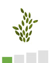 spore-green-pollen