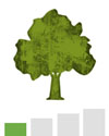 tree-green-pollen