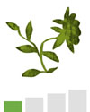 weed-green-pollen