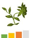 Pollen forecast for weeds with a high orange pollen count.