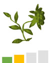 Pollen forecast for weeds with a moderate yellow pollen count.