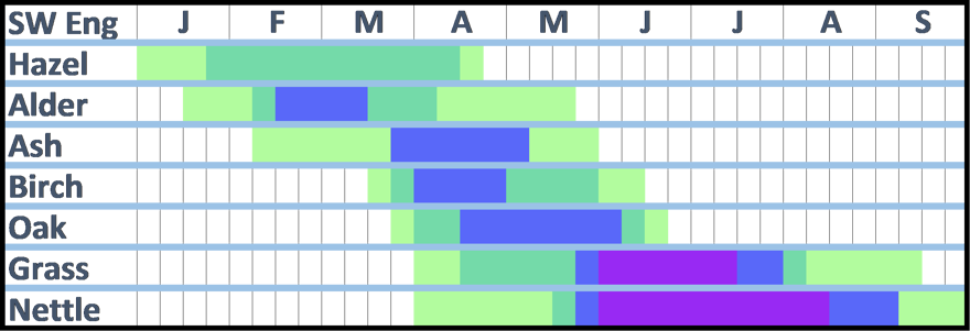 A pollen Calendar for southwest England.  The Information shown on this calendar is written in the accompanying text.