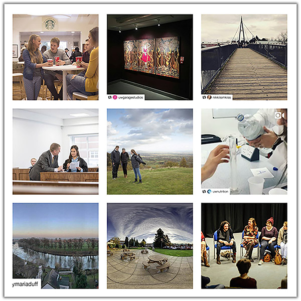 Grid of Instagram images