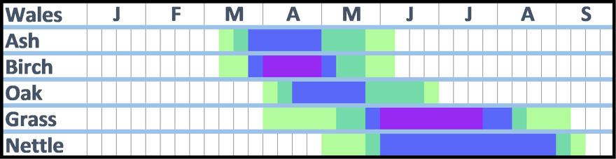 A Pollen Calendar for Wales.  The Information shown on this calendar is written in the accompanying text.