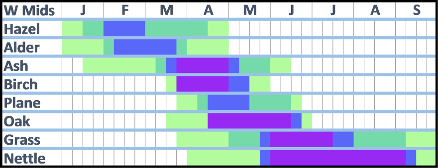 A pollen Calendar for the West Midlands.  The Information shown on this calendar is written in the accompanying text.