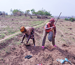 women working in field