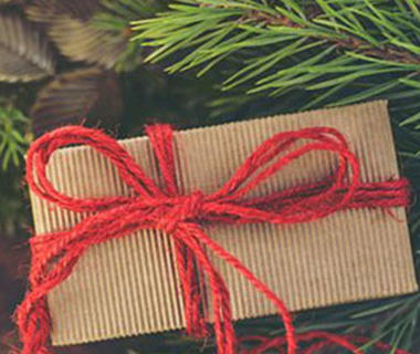 Brown package in a red string bow