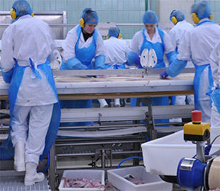 Industrial meat processing workers in plastic coveralls