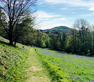 Local days out ui card