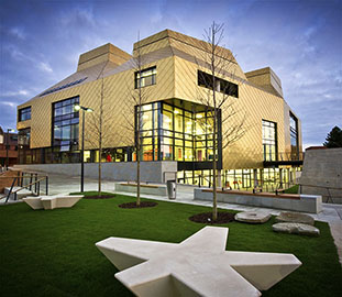 view of the hive library